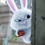 Bunny