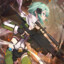 Sinon