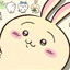 Usagi