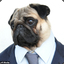 Pug V2