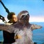 The Sea Sloth