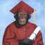Macaco