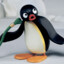 Pingu