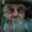 .radagast