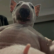 jadrelis2 - steam id 76561199861368475