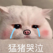 我说一滴血是我剩一滴