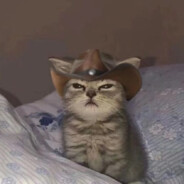 喜欢玫瑰的橙子