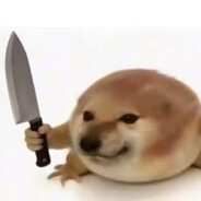 pludo - steam id 76561198044658411