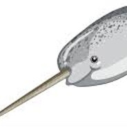 Newton the Narwhal