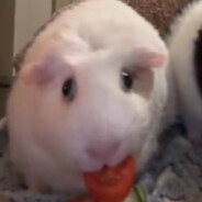 ✞𝓪𝓵𝓪𝓷• De Kingbe