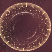 死道友不死贫道