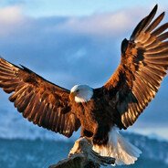 Zhake - steam id 76561199135360732