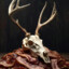 Baconskull