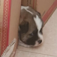 站长推荐看到初恋