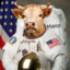 Cowstronaut