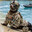Terry The Seal