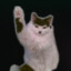 KITLER