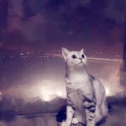 我的男人张新杰