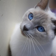 Lizard's avatar