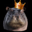 Hippo King