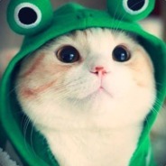 badplayer - steam id 76561197960480827