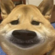 我叫益德别嚣张7