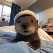 纯情烧男猪刚鬣