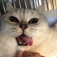 我斗是最强的男人