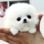 Xuan
