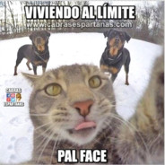 ༒𝔹𝕣𝕦𝕟𝕠༒