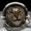 space cat