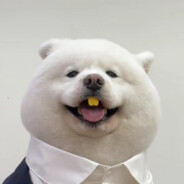 你是我回不到的过去