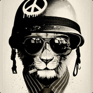 ツ Shurik ︻芫 ———