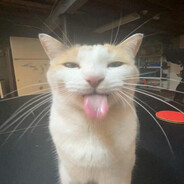 乂Ҝ丂卂丨尺卂𝓧乂