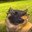 hunchoG