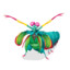 Mantis Shrimp