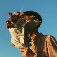 爱上岸的小海豚