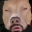 QКОЛД