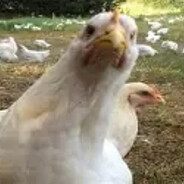 Big_Booty_John_Han_Kender_Det