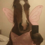 Flompy