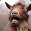 (Oh My) - Goat -