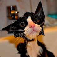 PAK_u3_TaHkoB - steam id 76561198140512246