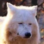 福建最速伝説☆DA☆ZE☆