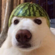 Cheburek [NeT^1d1^n@xu1]