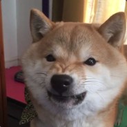 heh:)