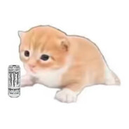 I Throw Bricks at Twinks