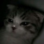 Tabalugaツ