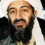 Bin laden