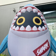 Sharkboo