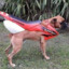 cRF